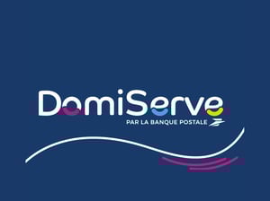 Domiserve logo