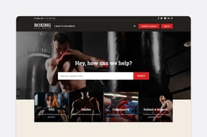 Punch Sports theme