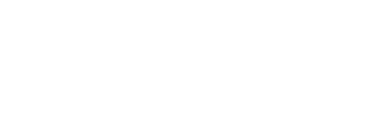premium logo white fin