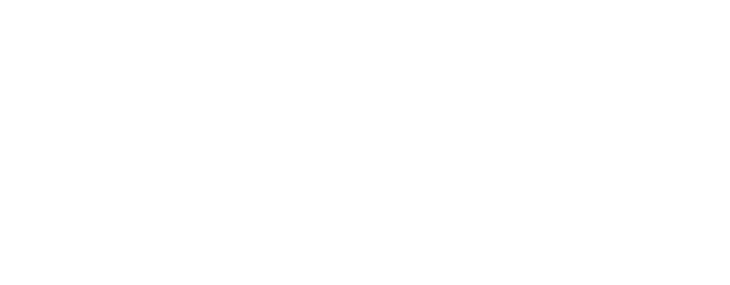Premium Plus - Logo